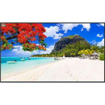 Panasonic Panasonic TH-55SQ2H Panou informare digital de perete 139,7 cm (55) LCD 700 cd/m² 4K Ultra HD Negru 18/7