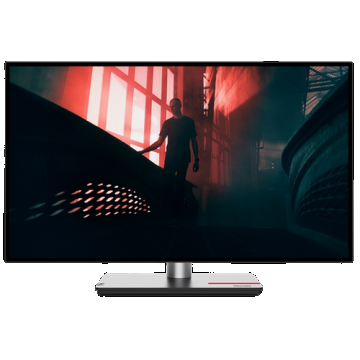 Monitor IPS LED Lenovo ThinkVision 27inch P27q-30, QHD (2560 x 1440), HDMI, DisplayPort, Pivot(Negru)